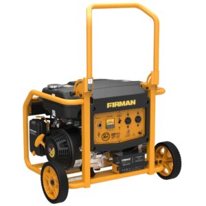 Firman EG20 4.0kVA Eco Gold Generator – Key Start Copper